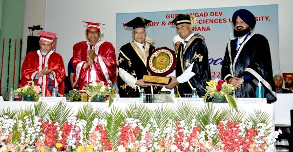 Vice Chancellor honoring His Excellency, the Governor of Punjab, Shri Banwarilal Purohit, Hon’ble Chancellor of the University on 2nd Convocation on 20th April, 2022